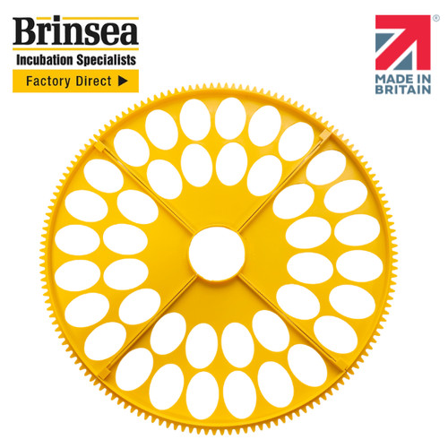 Brinsea maxi incubator small - maxi,
