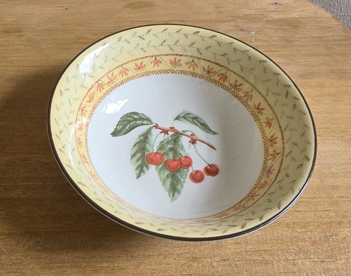 Johnson brothers summer chintz - johnson,