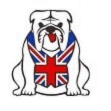 British Bulldog pin badge. White version. Union Jack vest. Metal.