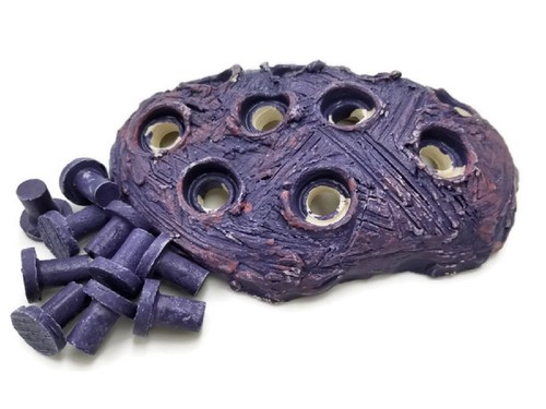 Coralline purple frag - coralline,