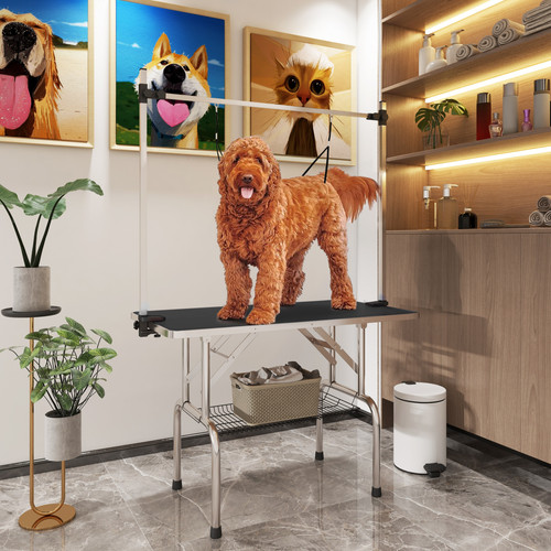 Dog grooming table - table, metal