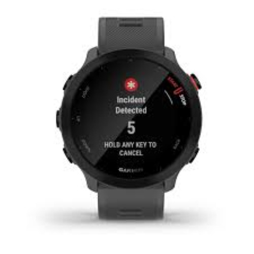 Garmin forerunner grey gps - garmin, 55