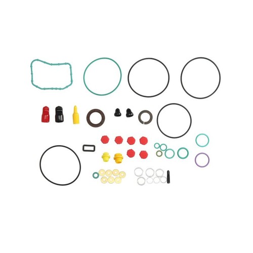 Fuel injection pump repair - injection, kit