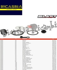 17663 - Rear Brake Caliper Revision Honda XRV 750 Africa Twin 900 CB F