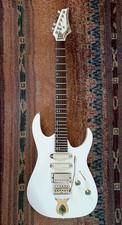 WR Washburn Custom Pro Guitar