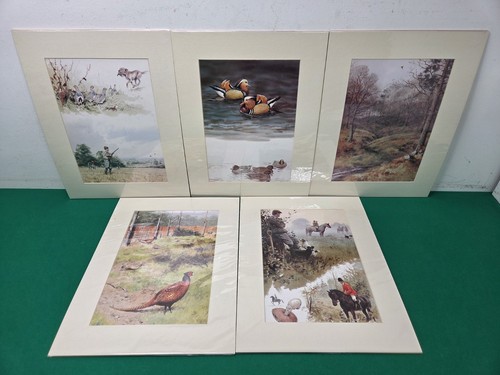 Mounted hunting shooting - 5,