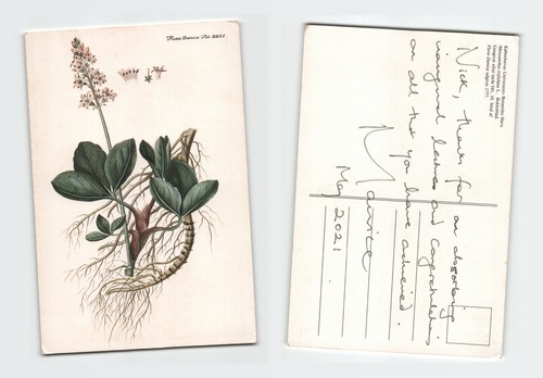 Vintage postcard flora danica - postcard,