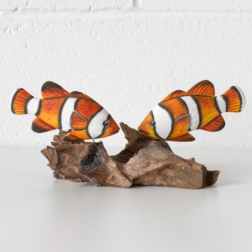 Clownfish coral teak root - clownfish,