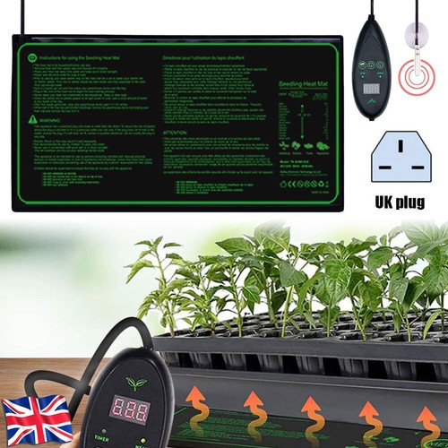 Garden greenhouse plant - greenhouse,