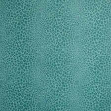 Nina Campbell Sylvana