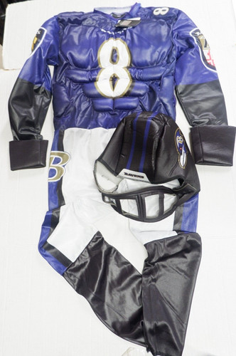 Baltimore ravens costume - baltimore,
