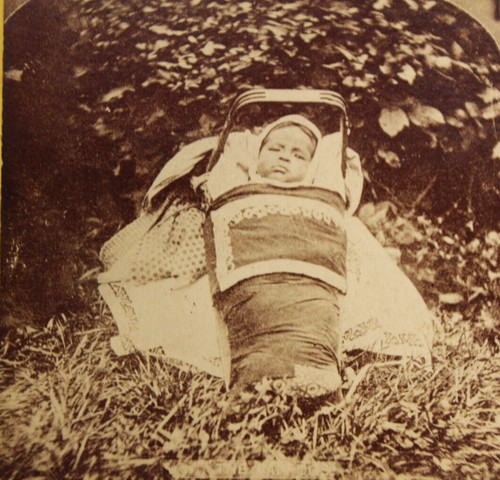 Native american stereoview - american, the