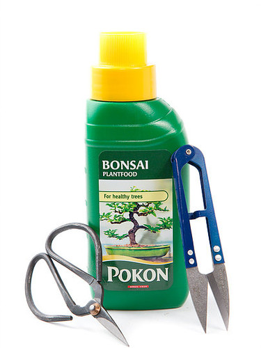 Bonsai tree food feed - /,