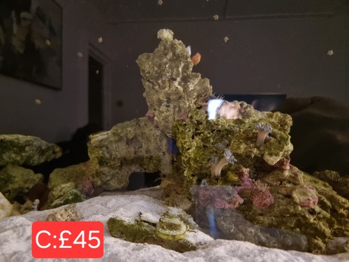 Marine live rock tower wysiwyg - tower,