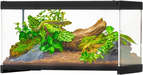 30x20x17cm glass reptile - 30x20x17cm,