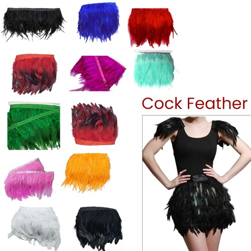 Rooster tail feathers - feathers, long