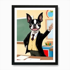 Boston Terrier