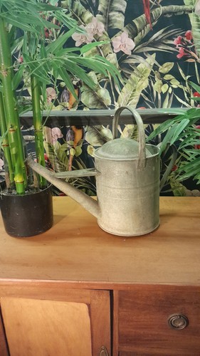Vintage galvanised watering - galvanised,