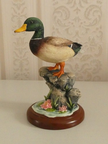Border fine arts mallard - border,