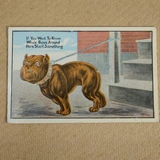 Original Vintage Postcard