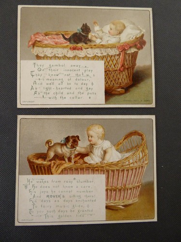 Two baby cradle - with, cat