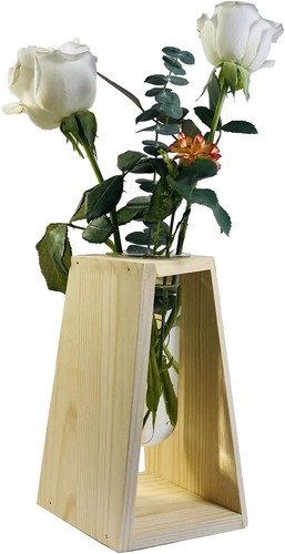 Test tube propagation station - propagation,