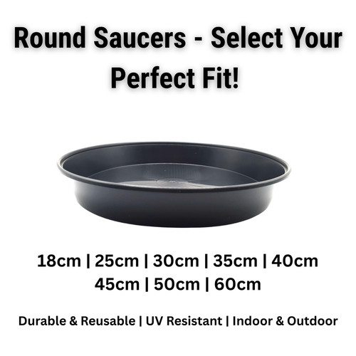Plant pot saucers - plant,