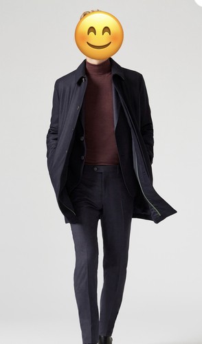 Pal zileri lab men wool - pal, m