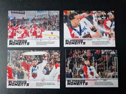 Cardiff devils all four - all,
