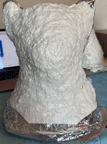 Foam support shell - use, with
