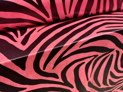 Ciré coated stretch - ciré,