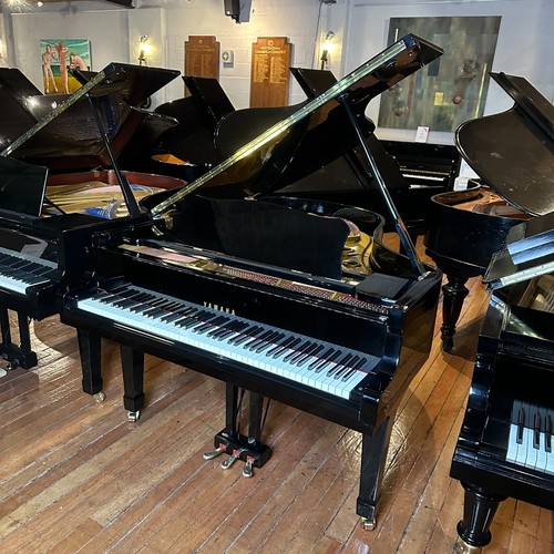 Yamaha grand piano black - yamaha,