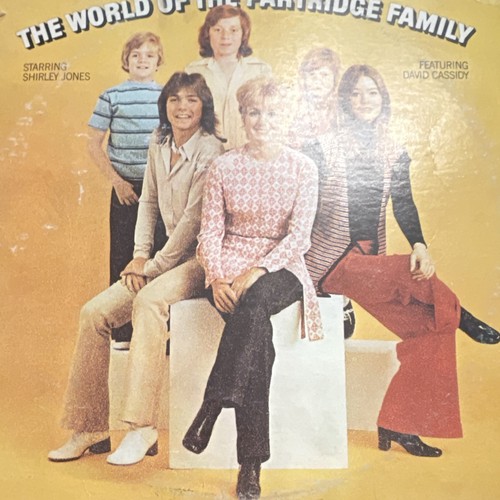 The partridge family - family,