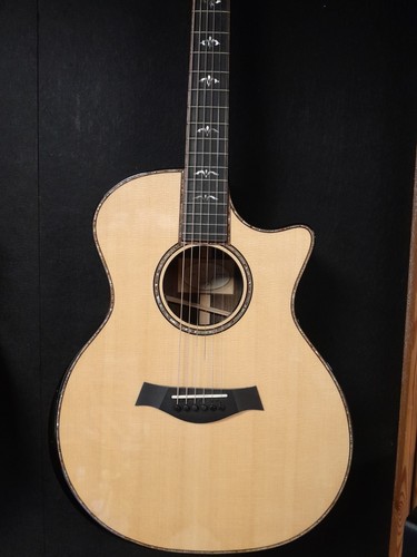 2017 taylor 914ce - 2017,