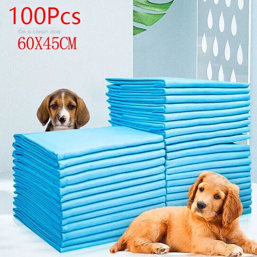 100 large puppy training - 100,