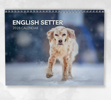 English Setter Calendar 2026