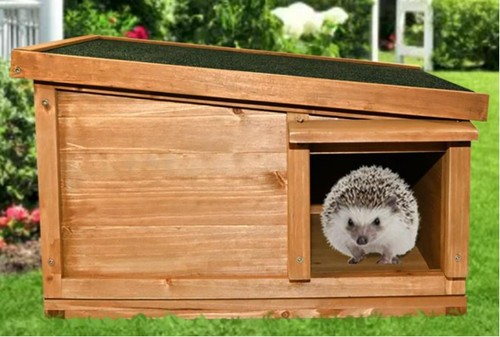 Hedgehog house hibernation - hedgehog,