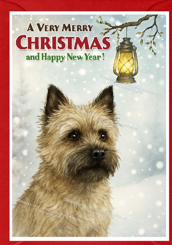 Cairn terrier dog - cairn, (4"