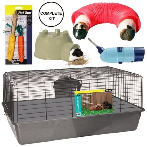 Rabbit guinea pig starter - pig, cage