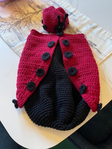 Ladybug cocoon and hat - ladybug, baby