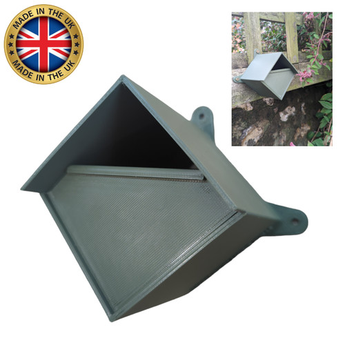 Small wild bird - , box