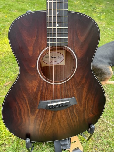 Taylor mini koa plus - mini-e,