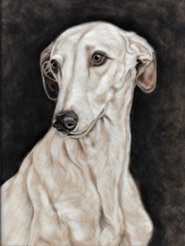 Greyhound print lurcher - greyhound, gift