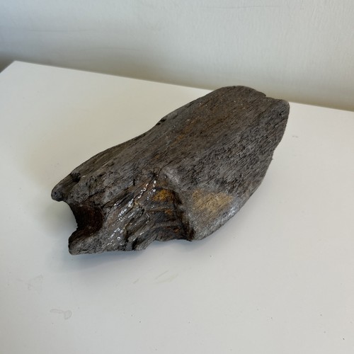 Chunky driftwood piece - 1,