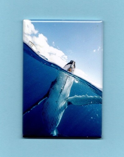 Humpback whale 2x3 fridge - whale, *2x3