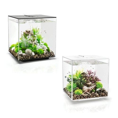 Biorb cube acrylic aquarium - cube,