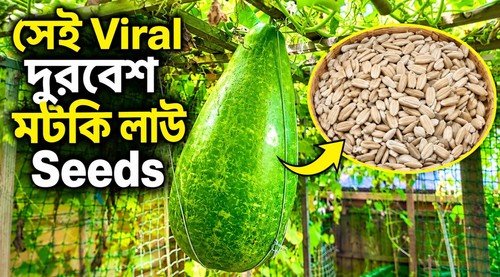 Saller bangladeshi bottle - saller,