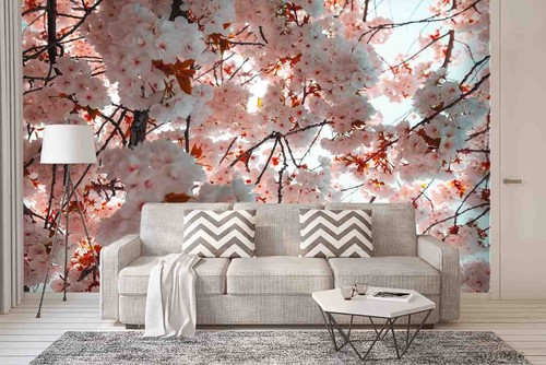 Cherry blossoms - 3d,