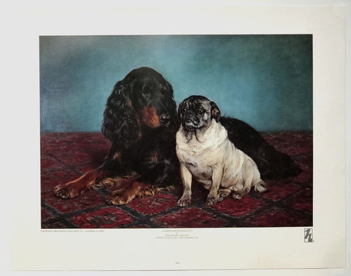 Gordon setter and - a, pug,