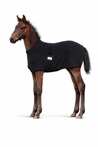 3ft newborn foal saver - 3ft,